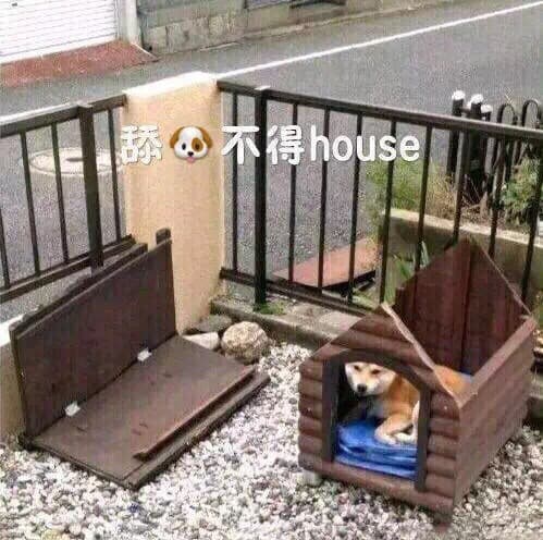 舔狗不得house