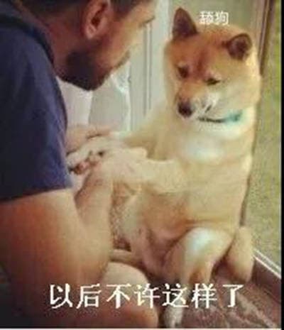 以后不许这样了，舔狗 