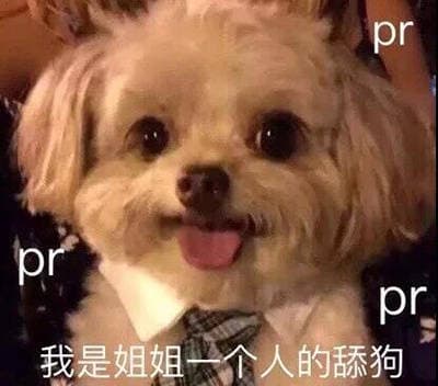 我是姐姐一个人的舔狗 pr 