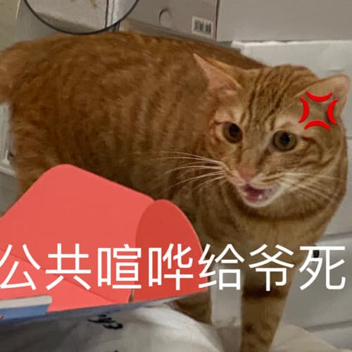 公共喧哗给爷死 