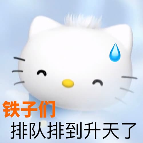 铁子排队排到升天了 