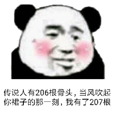 传说人有206根骨头，当风吹起你裙子的那一刻；我有了207根