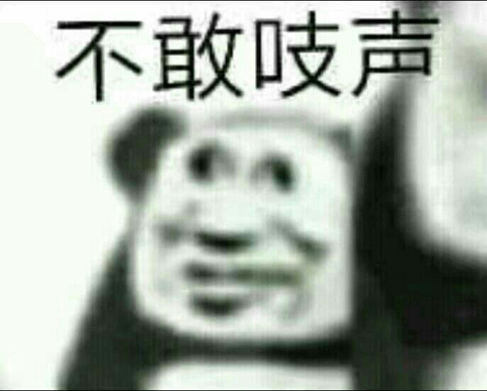 不敢吱