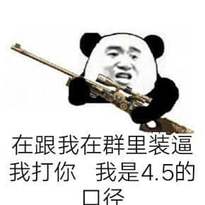 在跟我在群里装逼我打你，我是4