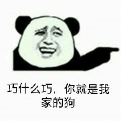 巧什么巧，你就是我家的狗