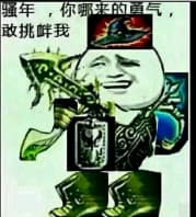 骚年，你哪来的勇气，敢挑衅我