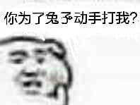 你为了兔子动手打我？