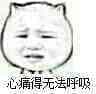 心痛得无法呼吸