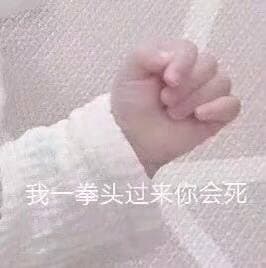 我拳头过来你会死