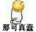 那可真蠢（滑稽）