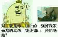 对，就是你，楼上的，强奸我家母鸡的真凶！铁证如山，还想抵赖？