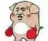 猪猪拳击手