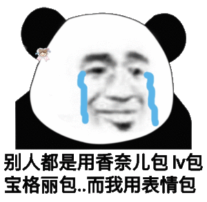 别人都是用香奈儿包LV包宝格丽包，而我用表情包