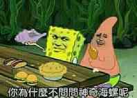 你为什么不问问神奇的海螺呢？