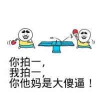 你拍我，拍你他妈是大傻逼！