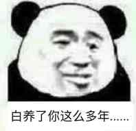 白养了你这么多年