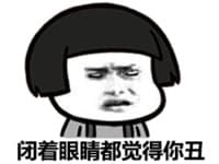 闭着眼睛都觉得你丑