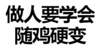 做人要学会随鸡硬变！
