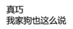 真巧，我家狗也这么说。