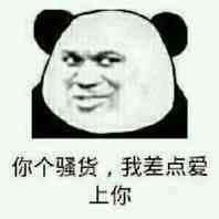 你个骚货，差点爱上你（熊猫人）