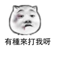 有種來打我呀