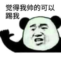 觉得我帅的可以踢我（熊猫）