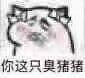 你这只臭猪猪
