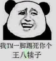 我TM一脚踢死你个王八犊子