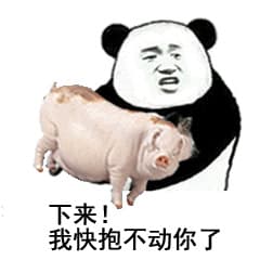 下来，我快抱不动你了！（猪）