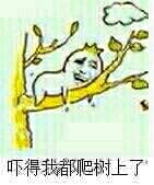吓得我都爬树上了