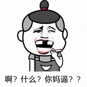 啊？什么？你妈逼？？？