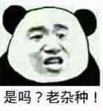 是吗_老杂种!