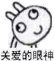关爱的眼神（兔子）