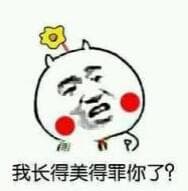 我长得美得罪你了？（张学友）