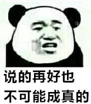 说的再好也不可能成真的