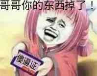 哥哥你的东西掉了（傻逼证）