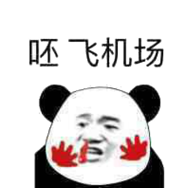 呸，飞机场！