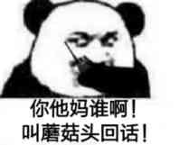 你他妈谁啊！叫蘑菇头回话！