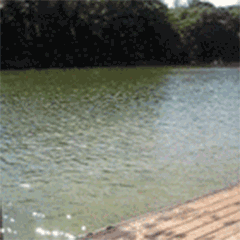 屁股火箭飞起来