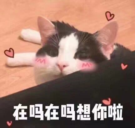 在吗想你啦