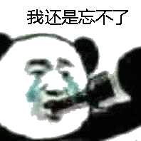 我还是忘不了（熊猫头喝酒表情包）