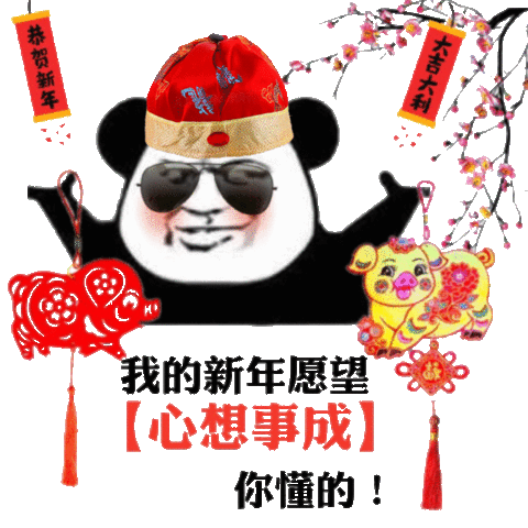 恭贺新年大吉大利我的新年愿【心想事成】你懂的(熊猫头新年表情包)