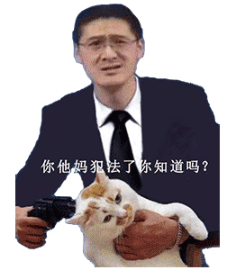 你他妈犯法了你知道吗?