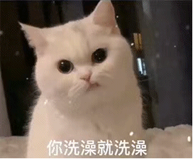 你洗澡就洗澡 说了你也不给我打视频 有什么用呢?
