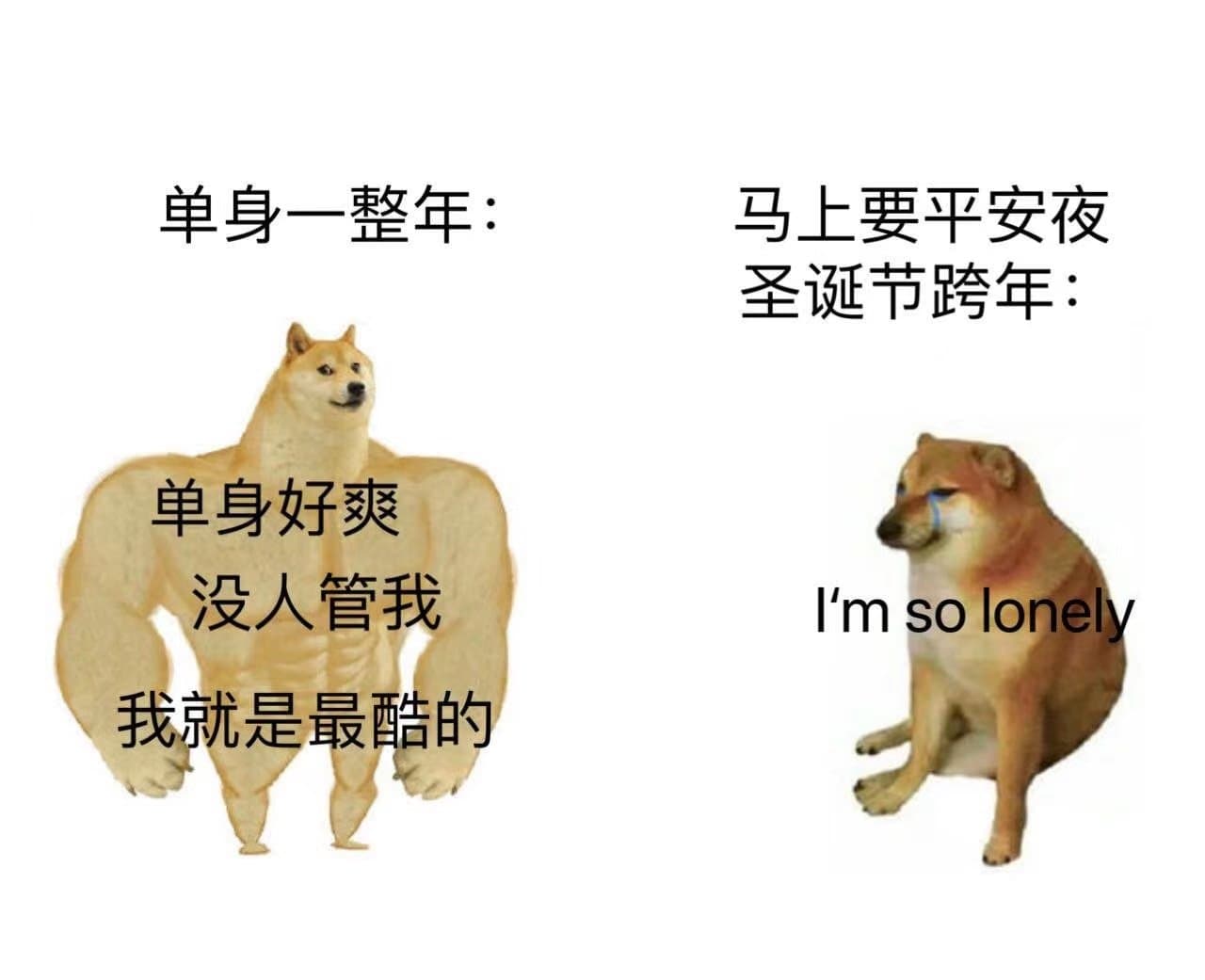 单身一整年 马上要平安夜圣诞节跨年 单身好爽没人管我I'm so lonely 我就是最酷的